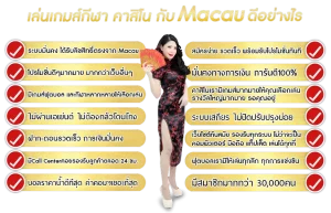 มาเก๊า ไทย
